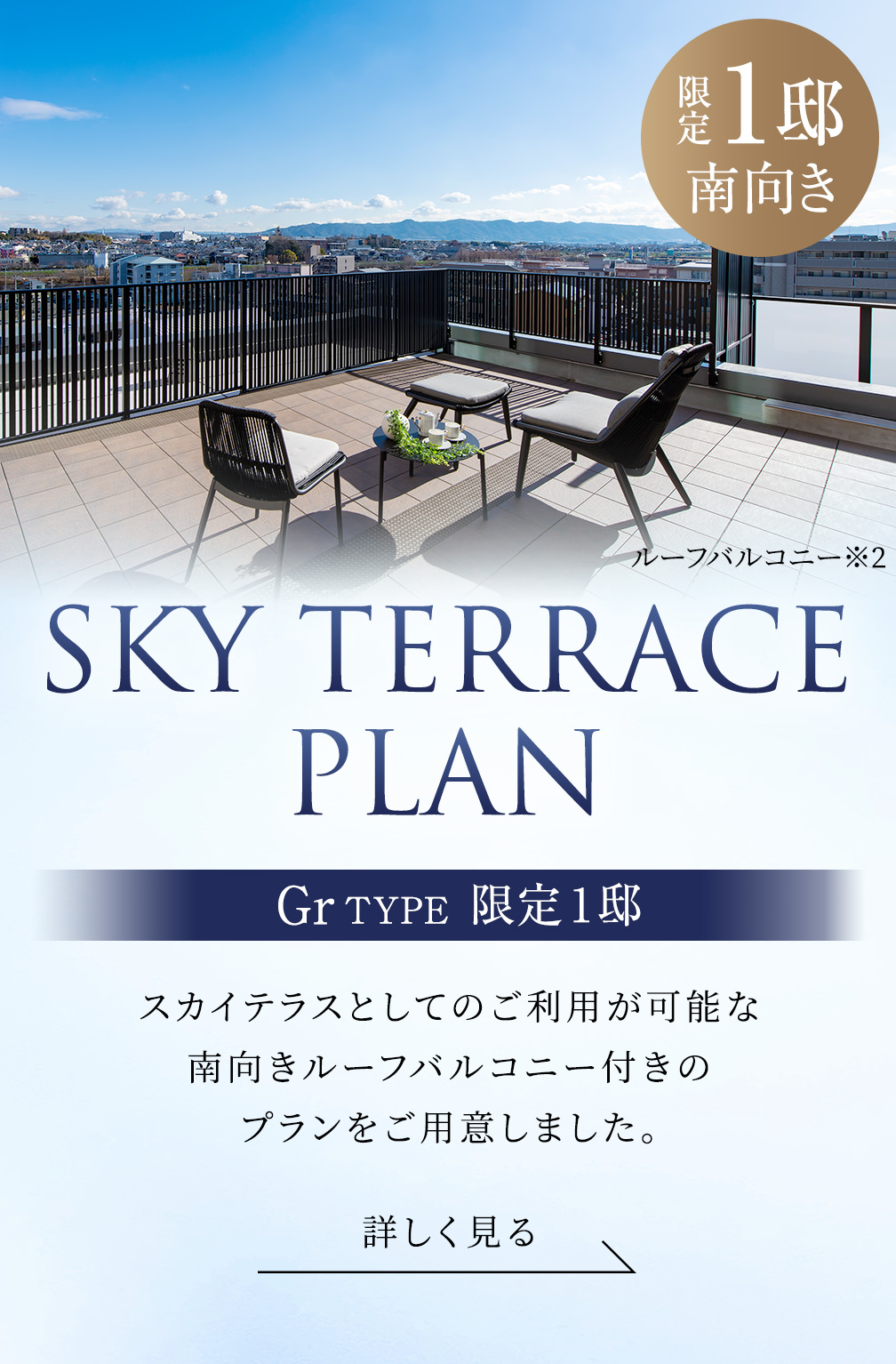 SKY TERRACE PLAN Gr TYPE 限定1邸